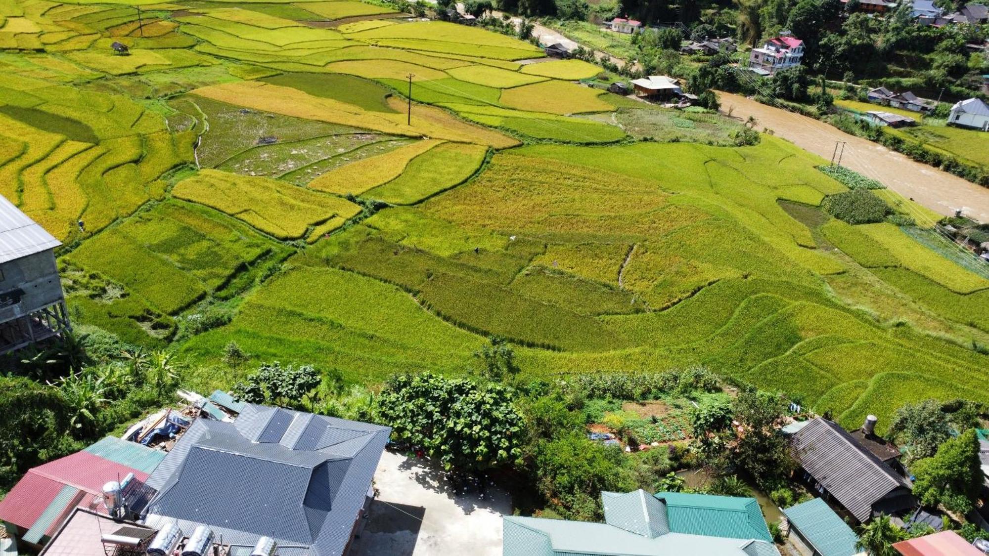 lều Village Mu Cang Chai